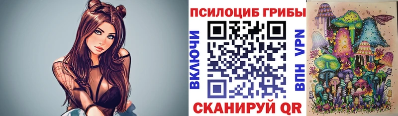 даркнет сайт  Шацк  MEGA вход  Псилоцибиновые грибы мицелий 